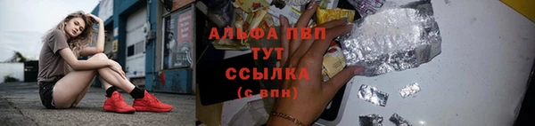 соль ск Алексин
