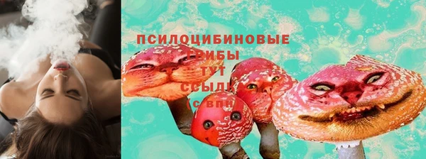 МДПВ Алзамай