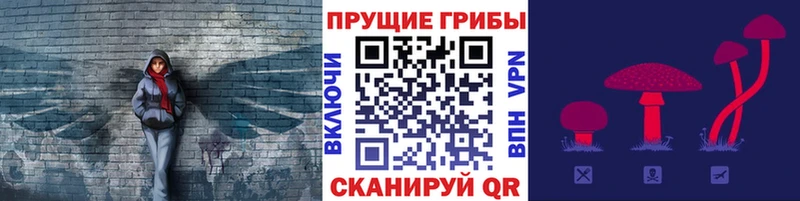 Псилоцибиновые грибы GOLDEN TEACHER  OMG зеркало  Севастополь 